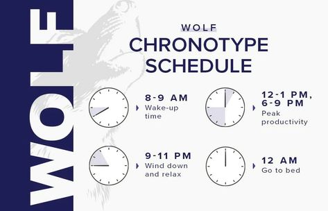 Wolf Chronotype Schedule, Chronotype Wolf, Wolf Chronotype, Ways Of Learning, Alternative Medicine, Personality Types, Infj, Health Remedies, Holistic Health