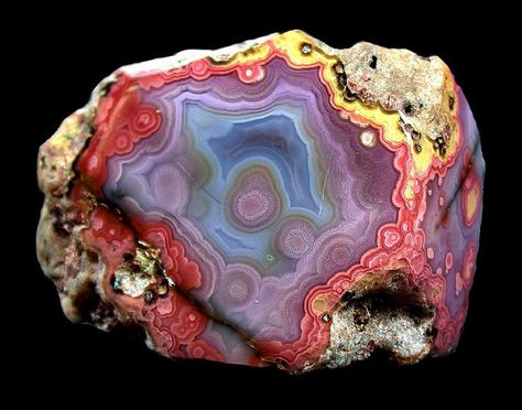 <3 Stunning Agate! <3 Coyamito Agate, Rock Minerals, Pretty Rocks, Beautiful Rocks, Rock Collection, Mineral Stone, Minerals And Gemstones, Rocks And Gems, Precious Gems