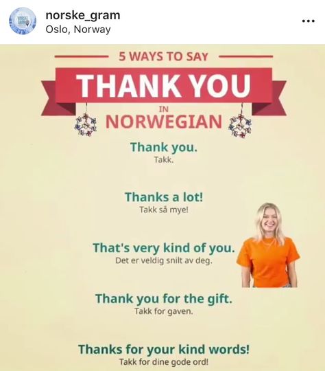 Norwegian Swear Words, Learning Norwegian, Danish Language Learning, Norway Culture, Norwegian Ancestry, Norwegian Language, Danish Language, Norse Words, Norway Language