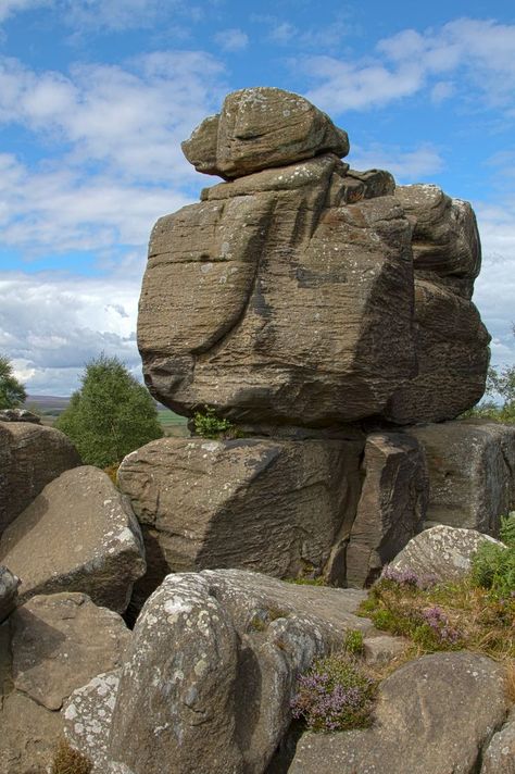 Rocks Reference Photo, Rock Reference Photo, Circles Drawing, Rocks Reference, Photos Of Objects, Rock Study, Rock Reference, Rock Boulder, Environment Drawing