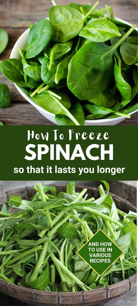 A Pinterest pin showing a step-by-step guide on freezing spinach. Perfect for anyone wanting to keep their spinach fresh and ready for use in smoothies, soups, and other dishes. #FreezingSpinach #HealthyLiving #KitchenHacks Preserving Fresh Spinach, Can You Freeze Spinach, How To Freeze Spinach Leaves, How To Preserve Spinach, What To Do With Spinach Leaves, How To Freeze Spinach, Canning Spinach, Preserving Spinach, Preserve Spinach