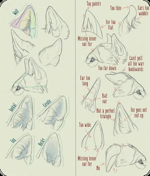 Drawing Wolves, Canine Anatomy, How To Draw Ears, Wolf Sketch, Canine Drawing, Dog Anatomy, How To Draw Animals, Wolf Drawing, Drawing Help