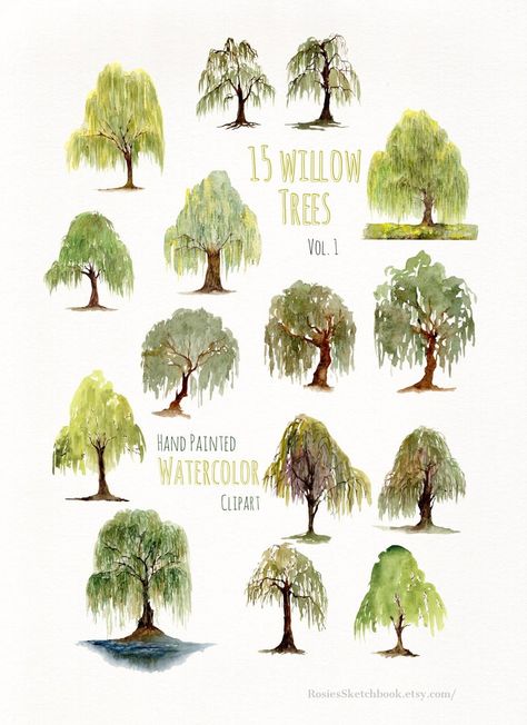 Willow Tree Watercolor Clipart Weeping Willow Nature Clipart | Etsy Willow Tree Watercolor, Willow Tree Art, Painted Greenery, Nature Clipart, Greenery Clipart, Willow Tree Tattoos, Tree Aesthetic, Willow Trees, Weeping Willow Tree