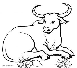 Free Printable Cow Coloring Pages For Kids | Cool2bKids Carabao Drawing Easy, Printable Cow, Cow Coloring Pages, Cow Drawing, Cow Colour, License Plate Art, Human Figure Sketches, Animal Drawings Sketches, Childrens Drawings