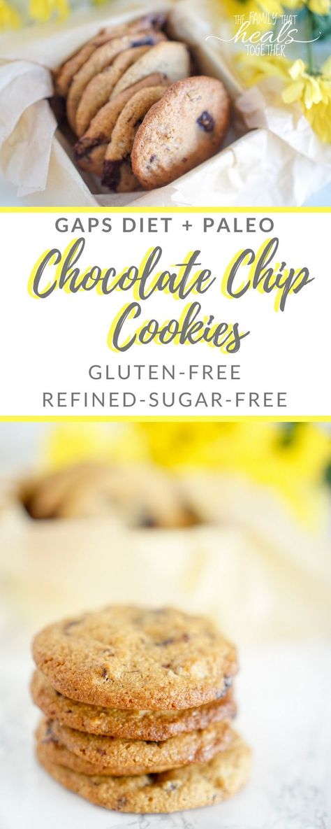 Healthy Chocolate Chip Cookie Recipe | GAPS Diet + Paleo | Gluten-free, refined sugar-free | from The Family That Heals Together Gaps Desserts, Healthy Cookie Recipes Chocolate Chip, Healthy Chocolate Chip Cookie, Diet Chocolate, Gaps Intro, Gaps Diet Recipes, Paleo Chocolate Chip Cookies, Gaps Recipes, Scd Recipes