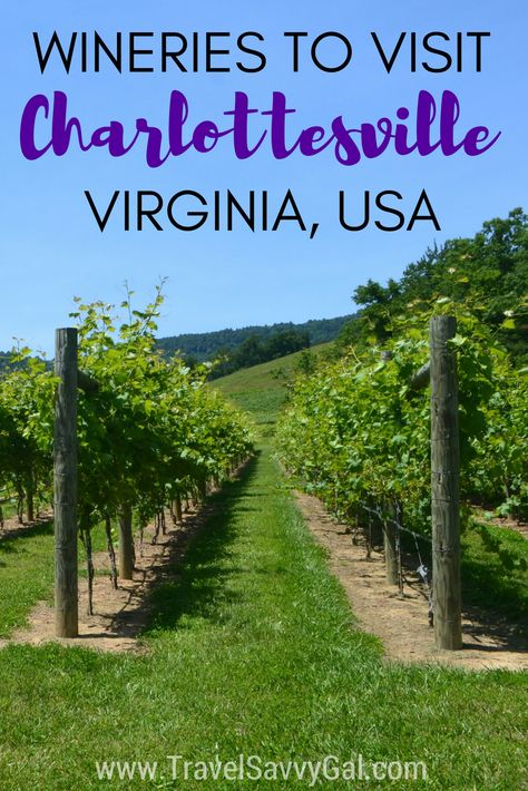 An easy weekend trip from Washington, DC, check out the best Charlottesville, Virginia wineries to seek out on a visit.  Click for the top spots to go for wine tasting and practical tips to make the most of your time! Charlottesville Wineries, Barolo Wine, Temecula Wineries, Virginia Wine Country, Virginia Wineries, Virginia Vacation, Virginia Travel, Virginia Is For Lovers, Wine Trail