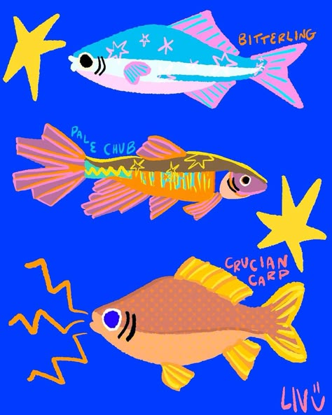 I’m drawing every fish in animal crossing, here’s the first set ⭐️ ⭐️ ⭐️ #animalcrossing #fish #fishart Colorful Fish Illustration, Cool Fish Drawings, Fish Facing Forward, Summer Animal Illustration, Colorful Fish Art, Fish Aesthetic Drawing, Colorful Fish Drawing, Fish Illustration Cute, Tropical Fish Drawing