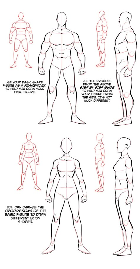 Male Body Reference Drawing Front View, Male Atonamy Reference, Body Antomany, Art Reference Poses Models Anatomy Male, Toned Body Drawing, How To Draw Upper Bodies, Drawing Legs Male, How To Draw Lower Bodies, Superhero Body Drawing