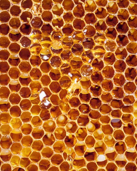 Pure Apis mellifera absolute. Honey absolute is solvent-extracted from honeycomb and contains both honey and beeswax. The absolute has a very mild, sweet, oily odor, with a haylike body note and a soft, waxy undertone. The scent varies depending on the origin of the honeycomb and what kind of flower the bees produced the honey from. It is traditionally used in perfumery and is an especially good natural fixative. ASPECTS: sweet pollen · hay · warm · mild APPEARANCE: pale yellow to deep golden br Apis Mellifera, Honey Water, Food Texture, Bee Boxes, Natural Structures, Collage Background, Orange Aesthetic, Fantasy Aesthetic, Patterns In Nature