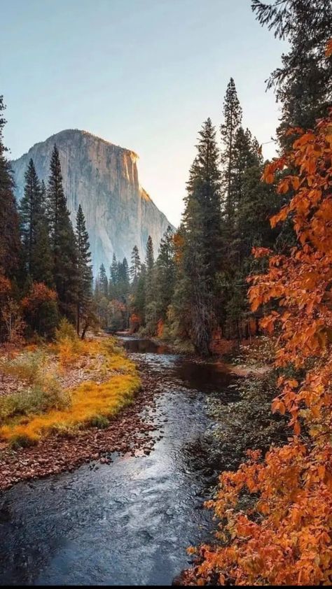 Nature Architecture, Yosemite Falls, Pretty Landscapes, Autumn Scenery, Yosemite National, Fall Wallpaper, Nature Aesthetic, Yosemite National Park, Pretty Places