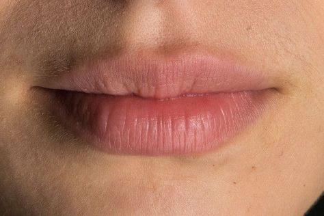 Mouth Anatomy, Head Anatomy, Lips Photo, Body Study, Face Anatomy, Mouth Drawing, Face Drawing Reference, Backstage Runway, Lips Drawing