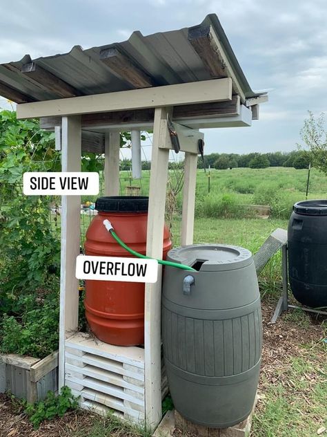 Essentially, my garden is annoyingly far away from larger sources of water (although I have and do use the hose from the house in the heat of the summer and I do have two IBC totes about 50 yards away connected to the outdoor shed) but I had these smaller rain barrels that could never be adequately filled due to lack of a roof to funnel the free rain water into them.   Pinterest at the time didn’t have any good designs so this is what I finagled together.  Basically it is a butterfly roof angled