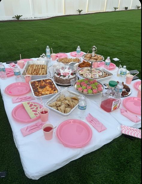 Pink Picnic Food Ideas, Dollar Tree Picnic Ideas, Picnic Rosa, Rapunzel Wedding Theme, Coquette Picnic, Bday Picnic, Charcuterie Picnic, Picnic Party Decorations, Picnic Date Food