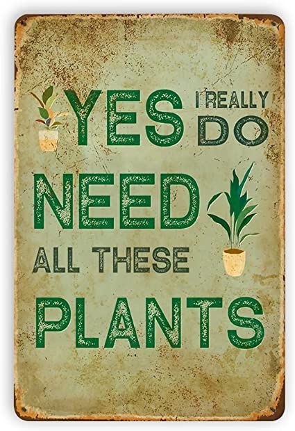 Garden Quotes Signs, Funny Garden Signs, Garden 2023, Funny Wall Decor, Hanging Plant Wall, Farmhouse Garden, Garden Signs, Poster Vintage, Plant Wall