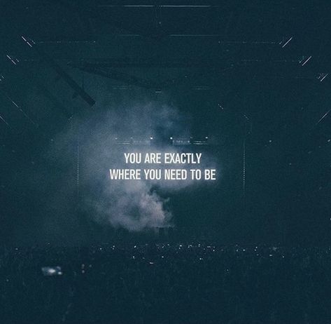 Concert Quotes Happiness, Edm Quotes, Concert Quotes, Steve Angello, Rave Outfits Edm, Festival Quotes, Porter Robinson, House Mafia, Festival Rave Outfit