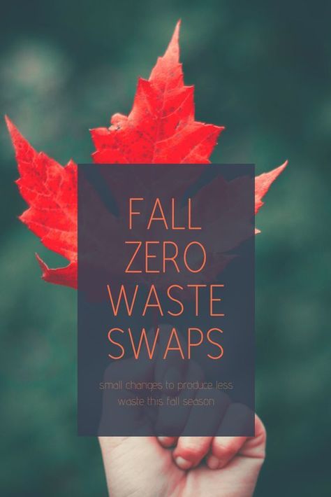 Fall Zero Waste Swaps | less is Meera Zero Waste Holiday, Empty Candle Jars, Waste Free Living, Zero Waste Swaps, Empty Candle, Green Halloween, Zero Waste Kitchen, Diy Body Care, Waste Free