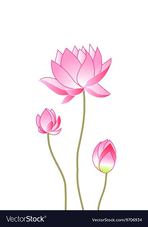 Lotus Vector Illustration, Pooja Cabinet, Lotus Flower Vector, Lotus Flower Illustration, Lotus Illustration, Thread Ceremony, Flower Design Vector, Lotus Artwork, African Lovebirds