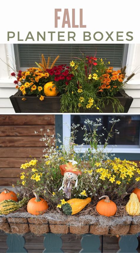 Add some autumn flair to your home with beautiful fall planter boxes. Perfect for windows and porches, these ideas will make your house the envy of the neighborhood. Get inspired with our decorating tips! Fall Trough Planter Ideas, Fall Rectangular Planter Ideas, Fall Flower Boxes Window, Window Box Decorating Ideas, Fall Planter Boxes, Autumn Window Boxes, Fall Window Boxes Ideas, Box Decorating Ideas, Fall Flower Boxes