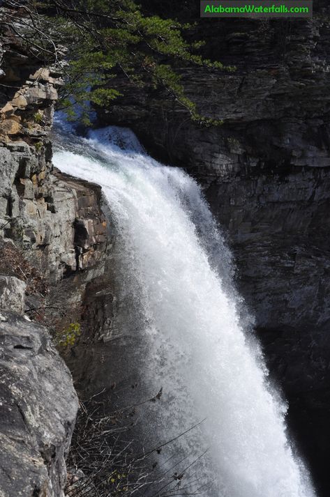 10 of the Best Waterfalls in Alabama for a Day Trip - Alabama Waterfalls Desoto Falls, Alabama Vacation, Cascade Falls, Alabama Travel, Cascade Waterfall, Largest Waterfall, Waterfall Hikes, Natural Bridge, Local Travel