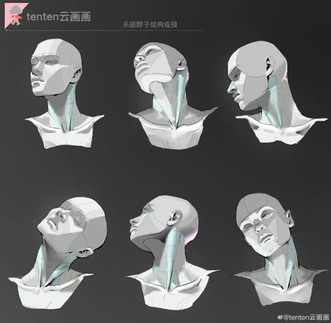 Face Angles, Anatomy Tutorial, 얼굴 그리기, Human Anatomy Drawing, Human Anatomy Art, Anatomy Sketches, Body Reference Drawing, Anatomy For Artists, Anatomy References