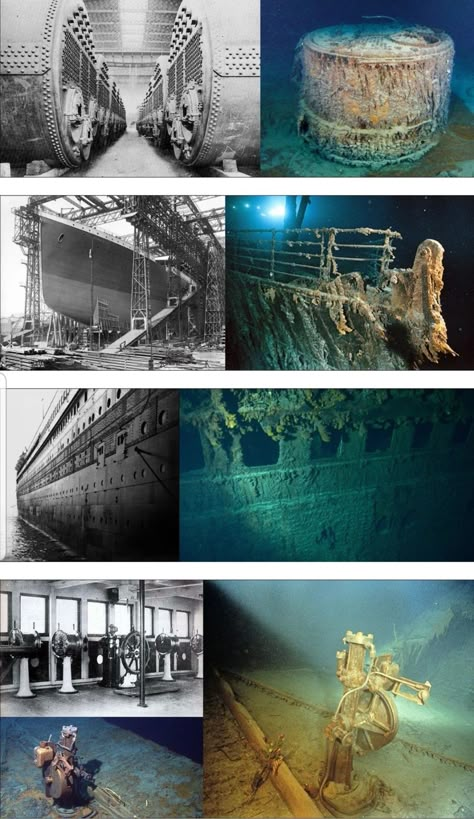 Titanic Birthday Party, Titanic Birthday, Titanic Underwater, Real Titanic, Vincent Callebaut, Titanic Wreck, Titanic Photos, Titanic Artifacts, Titanic Facts