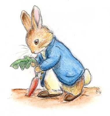 Peter Rabbit Illustration, Beatrix Potter Illustrations, Beatrice Potter, Beatrix Potter Books, Peter Rabbit And Friends, Rabbit Garden, 동화 삽화, Rabbit Illustration, Potter Art