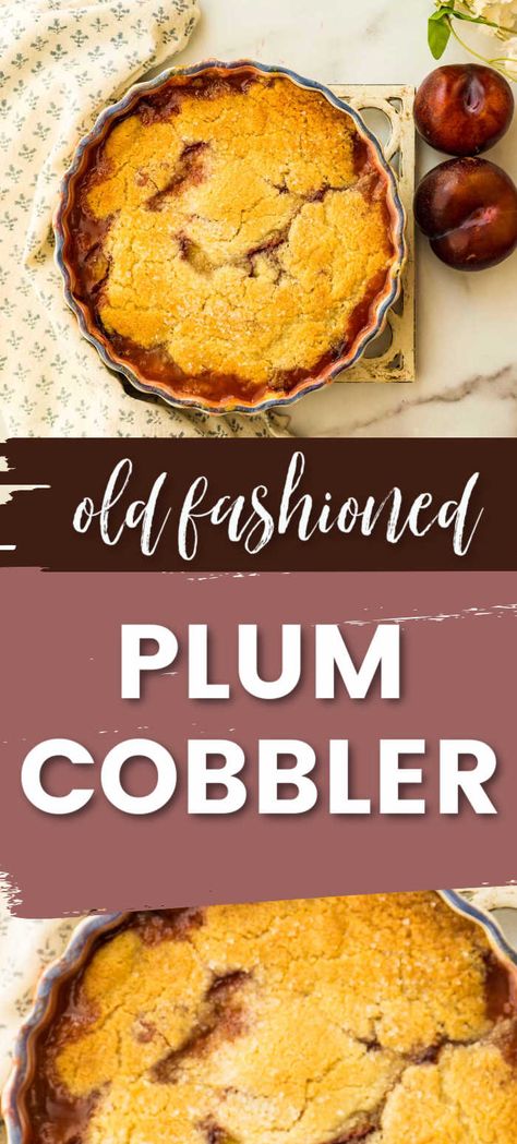 This cobbler recipe combines sugared and spiced plums with a sweet and crisp cookie crust for the perfect combination of sweet and tart. Everyone will be asking you for this recipe! Plum Cobbler Recipe, Sponge Pudding Recipe, Plum Cobbler, Sponge Pudding, Farmhouse Life, Cinnamon Sugar Cookies, Cobbler Topping, Plum Recipes, Cookie Toppings