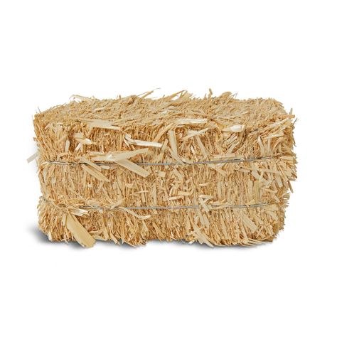 Hay Bale Decor, Outside Cat House, Cowboy Theme Party, Western Birthday Party, Rodeo Party, Western Birthday, Western Theme Party, Straw Bale, Straw Bales