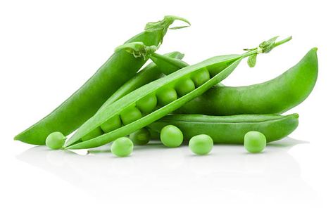 Glenn Doman, Snow Peas, Pea Pods, Emergency Food, Plant Spacing, Pea Protein, Snap Peas, Green Peas, Arbonne