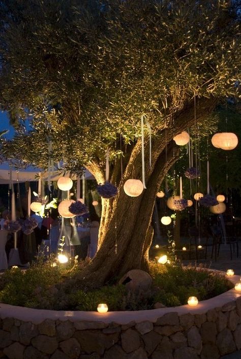 Lightning Ideas, Outdoor Tree Lighting, Garden Tattoo, Outdoor Restaurant Design, Lights Decoration, Wedding Backyard, Lights Wedding Decor, Aesthetic Garden, Outdoor Trees