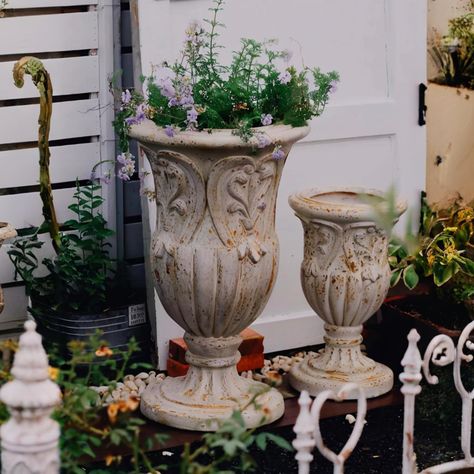 PRICES MAY VARY. Vintage Elegance: Each flower pot features intricate carved patterns and a distressed finish, providing a timeless, antique look that enhances any decor. Durable Material: Made from a high-quality blend of magnesium oxide and resin, these planters are designed to withstand the elements, ensuring long-lasting beauty. Versatile Sizes: Available in two sizes to accommodate a variety of plants, these pots are perfect for any space, whether large or small.Big size：17*11 inch，Small si Vintage Vignettes, House Plant Pots, Cottage Style House Plans, Magnesium Oxide, Urn Planters, Flower Pot Garden, Outdoor Plant, Unique Planter, Design Board