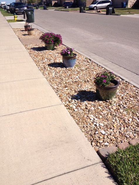 Here is a way to take care of the hell strip ! Very low maintenance Curb Sidewalk Landscaping, Hell Strip Landscaping, Median Landscaping, Parking Strip Landscaping, Curbside Landscaping, Sidewalk Garden, Drought Tolerant Landscape Front Yard, Patio Yard Ideas, Sidewalk Landscaping