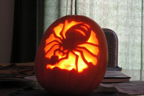 Spider Pumpkin Carving, Spider Jack O Lantern, Creative Pumpkin Carving Ideas, Pumpkin Masters, Scary Spider, Spider Pumpkin, Halloween Window Decorations, Pumpkin Carver, Halloween Pumpkin Carving Stencils