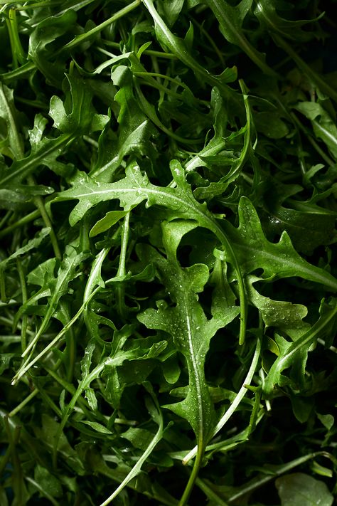 Food Photography Ingredients, Natural Food Photography, Food Texture Photography, Food Styling Photography Inspiration, Food Ingredients Photography, Veggies Photography, Green Food Photography, Vegan Photography, Macro Food Photography