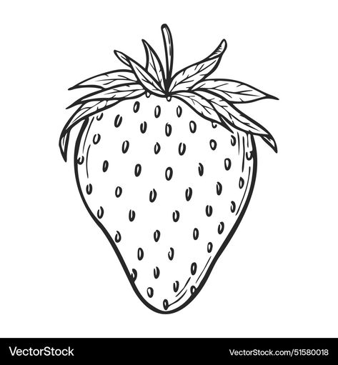 Strawberry Line Art, Botanical Outline, Monochrome Drawing, Strawberry Drawing, Strawberry Art, Outline Illustration, Fruit Illustration, Art Sketch, Hand Drawn Design