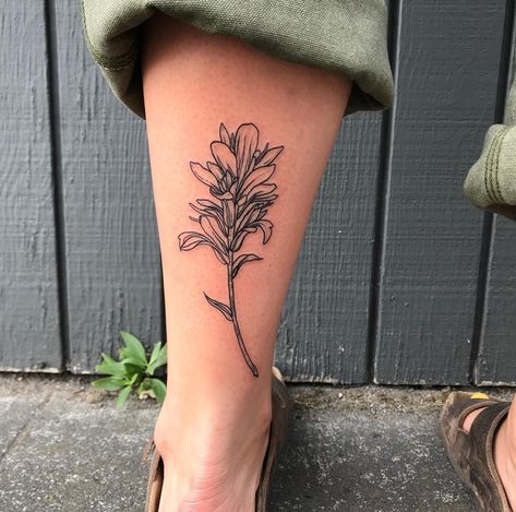 Indian Paintbrush Tattoo Black And White, Paintbrush Flower Tattoo, Indian Paintbrush Tattoo, Wildflower Sleeve, Delicious Quotes, Paintbrush Flower, Paintbrush Tattoo, Skin Doodles, Thigh Piece Tattoos