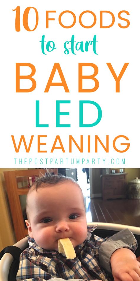 See some of our favorite foods to use as the first foods with baby-led weaning! You can make these BLW first foods for the whole family. Just modify them to be safe for your baby who is just getting started with baby-led weaning. Mom Questions, Blw Recipes, Baby Led Weaning First Foods, Weaning Foods, Baby & Toddler Food, Baby Cereal, Baby Led Weaning Recipes, Baby First Foods, Weaning Recipes