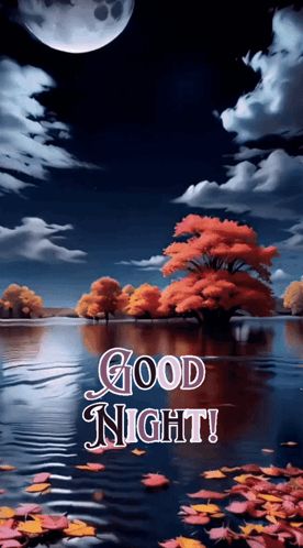 Good Night Images New 2024 Gif GIF - Good night images new 2024 Gif Alisa - Discover & Share GIFs Goodnight Gif Images, Goodnight Gif, Lovely Good Night, Good Night Images, Night Greetings, Good Night Love Images, Gif Images, Good Night Greetings, Night Images