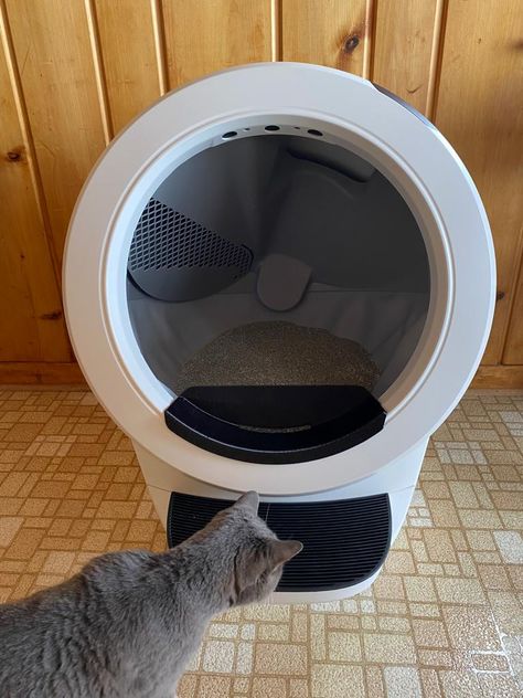 If you are on the fence to get the Litter Robot 4, here I share my experience and how you may (or may not) encounter possible issues while using the unit. A lot will depend on how you manage this automatic feeder. Check it out. Litter Robot, Automatic Feeder, Cat Litter Box, The Fence, Litter Box, Cat Litter, Labor Day, A Year, Dog Cat