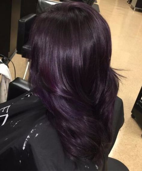 Black Mane with a Dazzling Hint of Dark Purple plum hair color Adele Hair, Plum Hair Color, Copic Colors, Hair Color Plum, Beige Skin, Perm Hair, Magenta Hair, Dark Purple Hair, Plum Hair