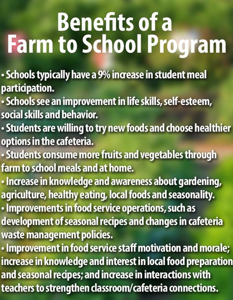 Benefits of a Farm to School Program - #farm2school #Farm2SchoolMonth - Cambro Blog Farm To School Ideas, School Farm Design, Agriculture Education Lessons, Ag Projects, Agricultural Education, School Farm, Healthy Harvest, Poultry Business, Forest Farm