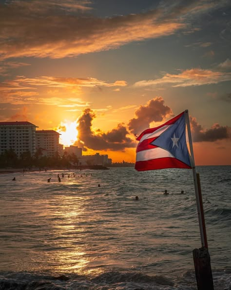 Aesthetic Puerto Rico, Puerto Rico Nature, Puerto Rico Party, Puerto Rico Beach, Puerto Rico Wallpaper, Boricua Aesthetic, Puerto Rican Aesthetic, Puerto Rican, Caribbean Aesthetic