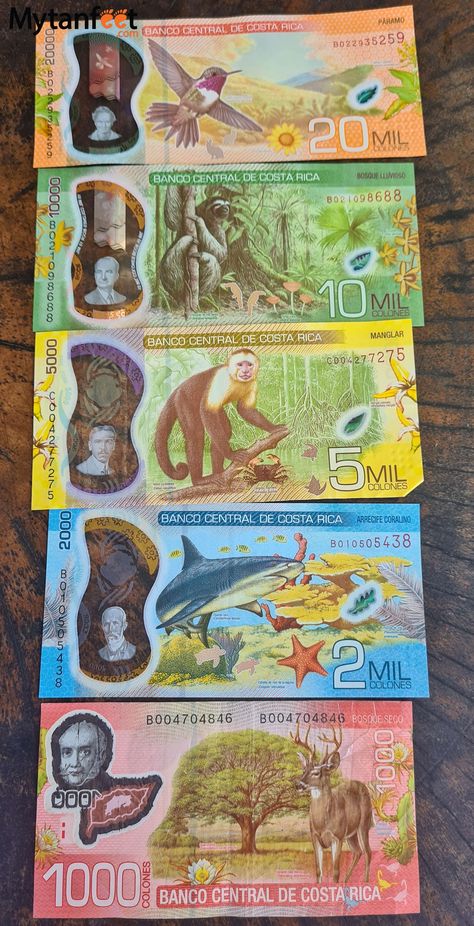 Handling money in Costa Rica: USD, Costa Rican currency, and more Costa Rica Culture Art, Costa Rican Culture, Costa Rican Aesthetic, Costa Rica Study Abroad, Costa Rica Culture, Costa Rica Living, Costa Rica Aesthetic, Costa Rico, Costa Rica Art