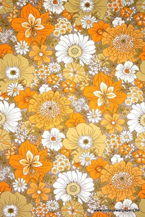 Rebecca Chaperon Wallpapers, Orange, Flowers, White