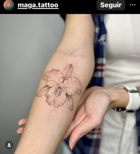 Orchid Tattoo Cattleya, Colombian Orchid Tattoo, Cattleya Trianae Orchid Tattoo, Kataleya Flower Tattoo, Cattleya Orchid Drawing, Cattleya Orchid Tattoo, Orchid Tattoo Meaning, Colombia Tattoo, Orchid Cattleya