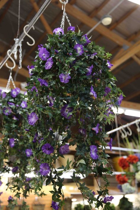 faux morning glory hanging basket  www.EvergreenMfg.net Morning Glory Hanging Basket, Porch Herb Garden Ideas, Patio Plants In Pots, Porch Herb Garden, Shade Pots, Landscape Pots, Hanging Herb Gardens, Planter Balcony, Herb Garden Ideas