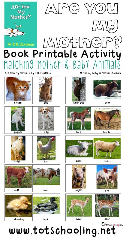 Free printable book activity for toddlers and preschoolers based on the book Are You My Mother? where the child matches 10 different baby & mother animal pairs. Great activity for Mother's Day! Mother And Baby Animals, Animals Preschool, Are You My Mother, Farm Unit, Activity For Toddlers, Farm Preschool, Spring Preschool, Animal Activities, Preschool Science