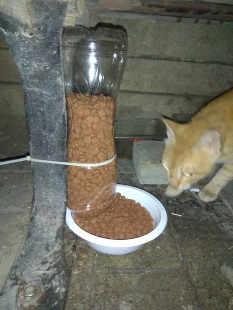 Street Cat food dispenser / feeder - DIY Cat Feeder Station, Cat Feeder Diy, Food Containers Design, Cat Food Station, Cat Food Dispenser, Diy Cat Food, Cat Feeding Station, Homemade Cat Food, Colorful Hairstyles