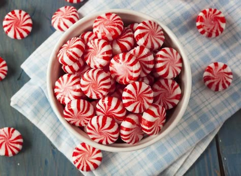 According to studies, peppermint decreases fatigue and increases alertness, allowing you to perform better when you need sustained attention. Try sipping on a cup of peppermint tea or chewing on peppermint gum. Peppermint Marshmallows, Chocolate Candy Recipes, Buttermilk Recipes, Christmas Candy Recipes, Easy Candles, Bark Recipe, Peanut Brittle, Candy Decorations, Mint Candy