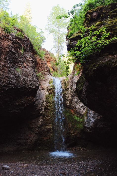 Grotto Falls, Lake Camping, Purple Wildflowers, Summer Things, Water Falls, Road Trippin, Take A Hike, How To Get Sleep, Go Camping